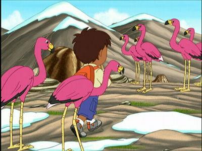 Go, Diego, Go! Season 3 Episode 17 - A New Flamingo Mami