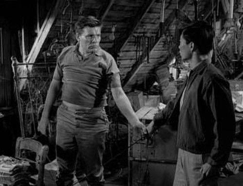 undefined Season 5 Episode 31 - The Encounter