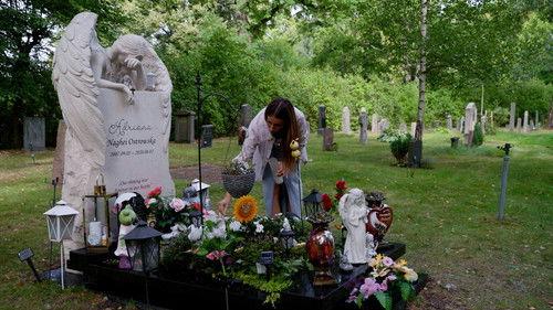 Svenska fall Season 13 Episode 1 - Episode 1