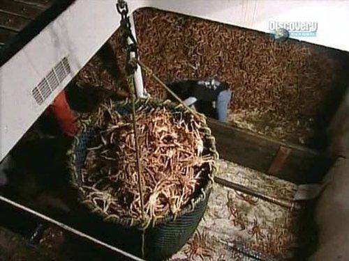 Deadliest Catch Season 1 Episode 10 - The Final Run