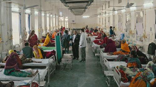 Pandemic: How to Prevent an Outbreak Season 1 Episode 4 - Hold On to Your Roots