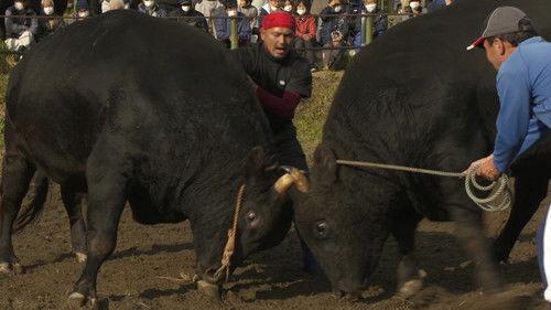 Shin Nihon Fudoki Season 11 Episode 2 - Episode 2