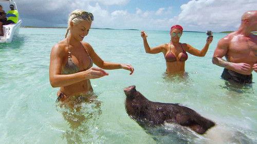 Total Divas Season 6 Episode 15 - Swimming With Pigs