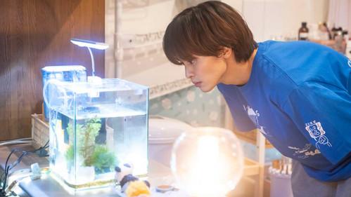 Small Bait, Big Love ～Ebiko's Hunt for Her Mr. Right～ Season 1 Episode 7 - Episode 7