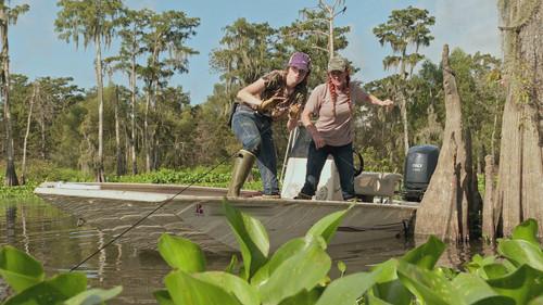 Swamp People Season 15 Episode 9 - Gator Stakes