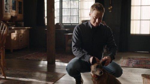 undefined Season 2 Episode 5 - Family Day