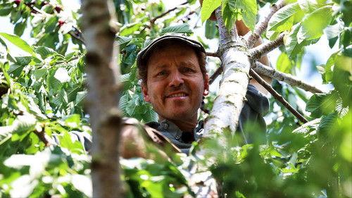 Frank & Kastaniegaarden Season 28 Episode 14 - Cherries and Shingles