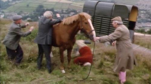 Last of the Summer Wine Season 14 Episode 2 - Errol Flynn Used To Have A Pair Like That