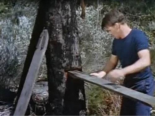 Skippy the Bush Kangaroo Season 2 Episode 22 - Axeman