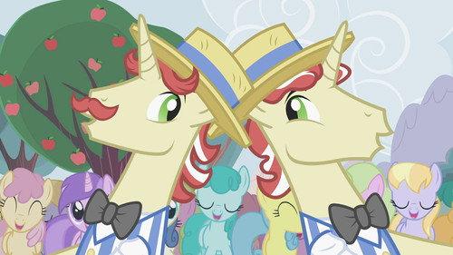 My Little Pony: Friendship Is Magic Season 2 Episode 15 - The Super Speedy Cider Squeezy 6000