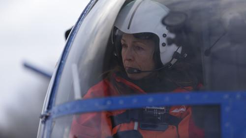 Dr. Oakley, Yukon Vet Season 5 Episode 2 - The Boar Ultimatum