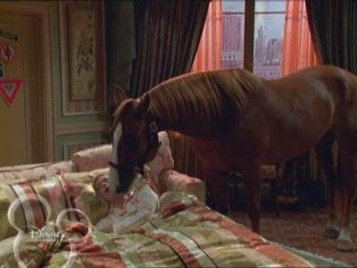 undefined Season 2 Episode 5 - Free Tippy