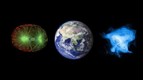 The Tony Danza Show Season 1 Episode 8 - Episode 8