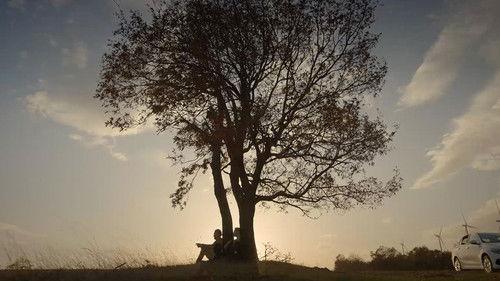 Steppe Season 2 Episode 8 - Episode 8