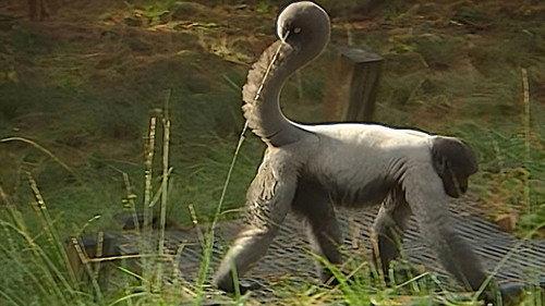 Monkey Business Season 5 Episode 10 - Episode 10