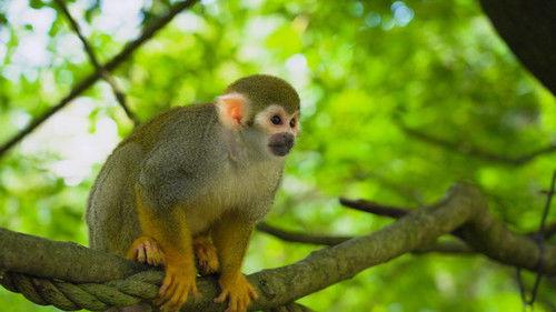 Dyrepasserne Season 14 Episode 12 - Klar for flytting