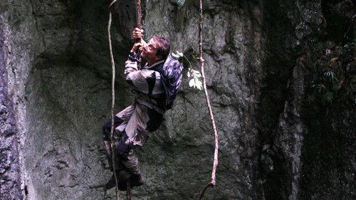 Man vs. Wild Season 6 Episode 4 - Borneo Jungle