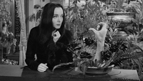 undefined Season 1 Episode 8 - Green-Eyed Gomez