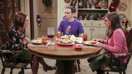The Big Bang Theory Season 10 Episode 12 - The Holiday Summation