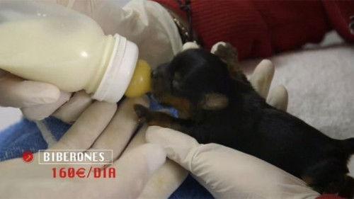 En el punto de mira Season 1 Episode 3 - Episode 3