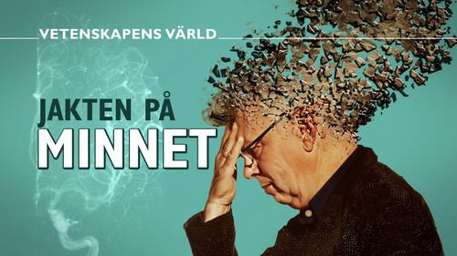 Vetenskapens värld Season 51 Episode 12 - The Hunt for Memory