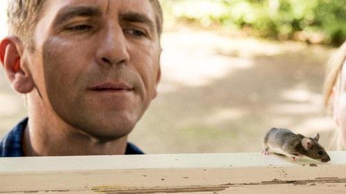 Löwenzahn Season 38 Episode 11 - Episode 11