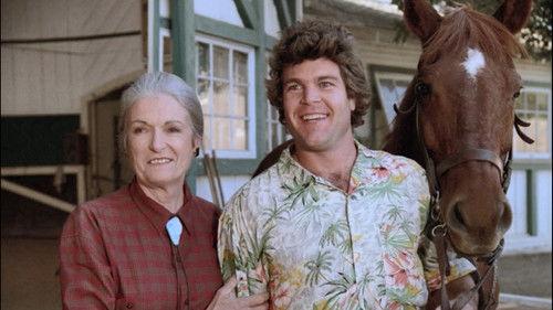 undefined Season 2 Episode 18 - Sharks Cove