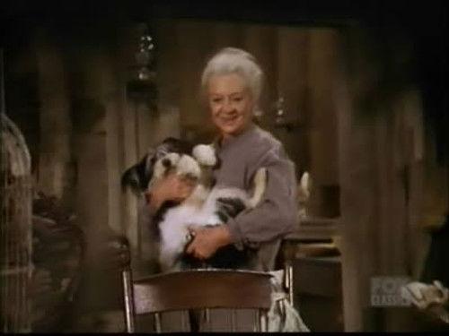 Bonanza Season 11 Episode 17 - The Trouble with Amy