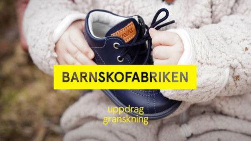 Uppdrag granskning Season 22 Episode 9 - Barnskofabriken
