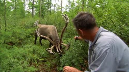 Untamed China Season 1 Episode 5 - Grasslands of Mongolia