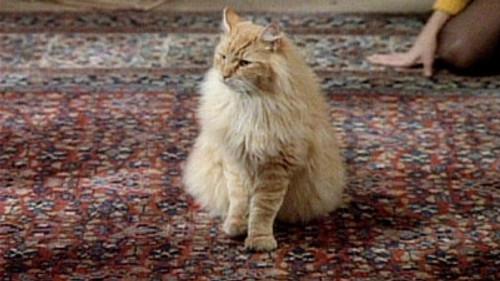 Designing Women Season 3 Episode 10 - Mr. Bailey