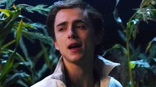 Saturday Night Live Season 46 Episode 8 - Timothée Chalamet with Bruce Springsteen & the E Street Band