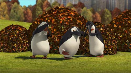 The Penguins of Madagascar Season 3 Episode 13 - Street Smarts