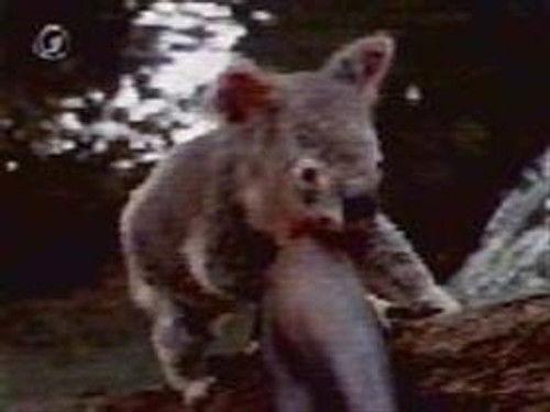 Time Trax Season 2 Episode 19 - The Scarlet Koala