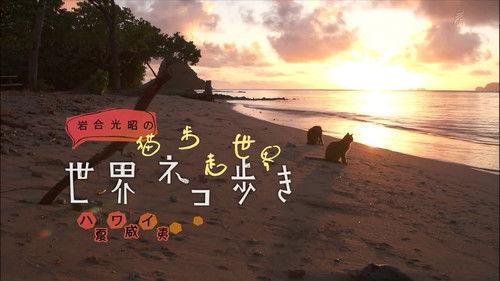 Mitsuaki Iwago's World “Cats” Travelogue Season 1 Episode 17 - Hawaii