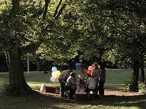 Rogue Season 3 Episode 12 - Hardboiled