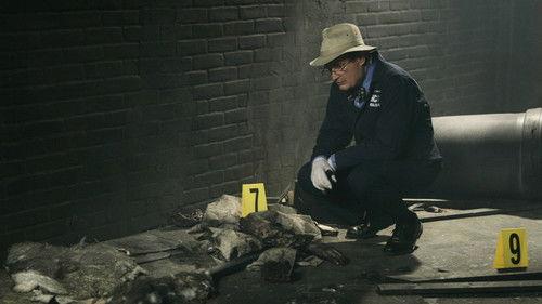 NCIS Season 4 Episode 19 - Grace Period