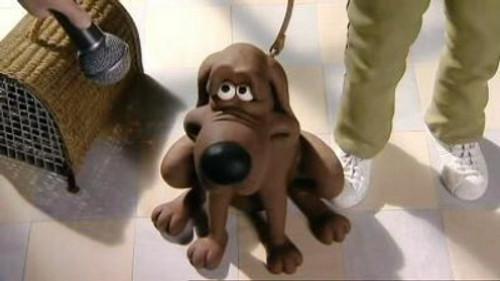 Creature Comforts Season 1 Episode 2 - Pets at the Vets