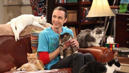 The Big Bang Theory Season 4 Episode 3 - The Zazzy Substitution