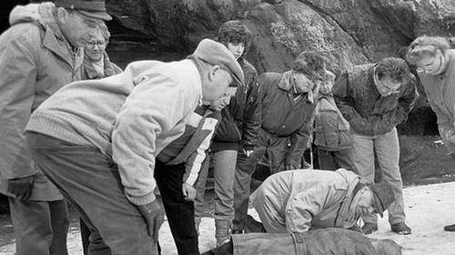 Polizeiruf 110 Season 20 Episode 6 - Abgründe