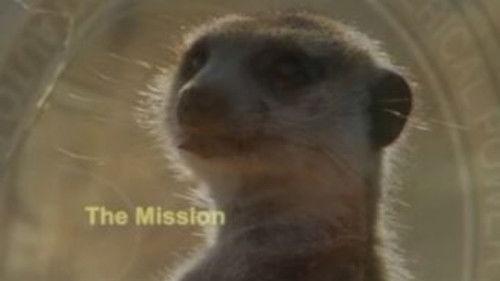 Meerkat Manor Season 3 Episode 2 - The Mission