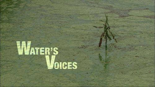 Water Life Season 1 Episode 25 - Water's Voices