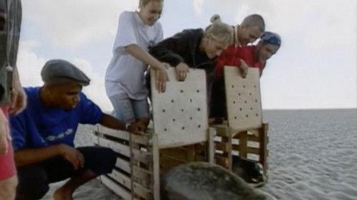 Road Rules Season 3 Episode 8 - Giving a Helping Flipper