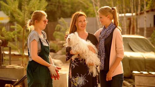 Blondynka Season 2 Episode 3 - Episode 3