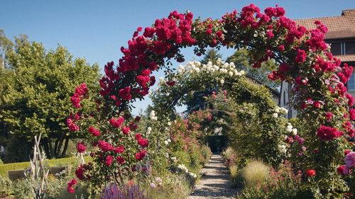 Hinter den Hecken Season 3 Episode 3 - The English garden