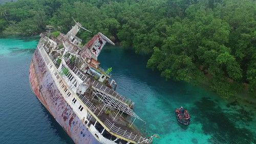 What on Earth? Season 10 Episode 8 - Legend of Moonshine Forest