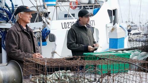 NCIS Season 19 Episode 4 - Great Wide Open