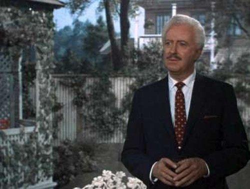 undefined Season 6 Episode 2 - Samantha's Yoo-Hoo Maid