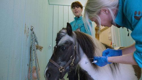 Dyrepasserne Season 12 Episode 14 - Episode 14