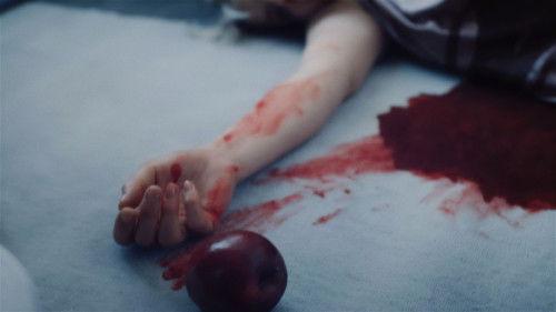 Ein starkes Team Season 1 Episode 76 - Tödlicher Seitensprung